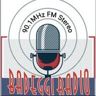 Badeggi Radio FM 90.1